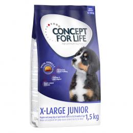 Concept for Life X-Large Junior - Sparpaket: 4 x 1,5 kg