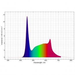 Daytime onex 80 color 72cm 21,6W