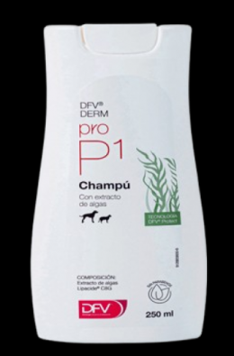 Dfv Derm Pyoderma Shampoo Für Hunde Und Katzen 250 Ml