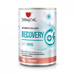 Disugual Lachs Recovery Nassfutter Für Hunde 400 Gr