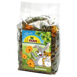 Doppelpack JR Farm Raufutter - Blütenwiese (Ringelblume) 2 x 300 g