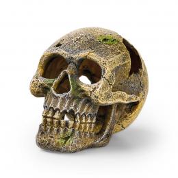 EDEN Totenkopf
