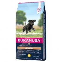 Eukanuba Junior Large Breed Huhn - 15 kg