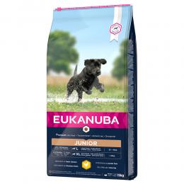 Eukanuba Junior Large Breed Huhn - Sparpaket: 2 x 15 kg