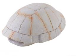Exo Terra Dino Shell Turtle Refuge Nano 14X5,5X9 Cm