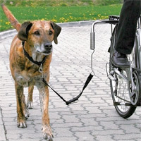 Fahrradhalter - Biker