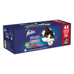 Felix 