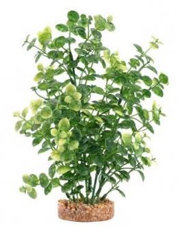 Fluval Grüne Bacopa-Pflanze 20 Cm