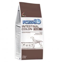 Forza 10 Active Line - Intestinal Colon Phase 1 - 10 kg