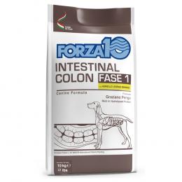 Forza 10 Intestinal Colon Phase 1 mit Lamm - 10 kg