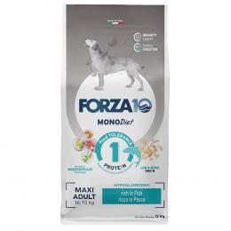 Forza 10 Maxi Diet mit Fisch - Sparpaket: 2 x 12 kg