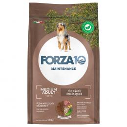 Forza 10 Medium Maintenance Lamm & Reis - 12 kg