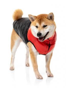 Fuzzyard East Harlem Rote Steppjacke T-4