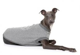 Fuzzyard Pullover Fy Grau T-3