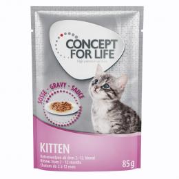 Gemischtes Sparpaket Concept for Life Gelee & Soße 24 x 85 g  - Kitten in Soße und Gelee          