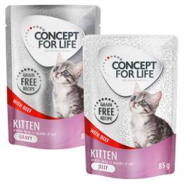 Gemischtes Sparpaket Concept for Life getreidefrei Gelee & Soße 24 x 85 g - Kitten Rind - in Soße und Gelee