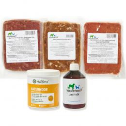 Haustierkost Einsteigerpaket für große Hunde - 30 x 500 g