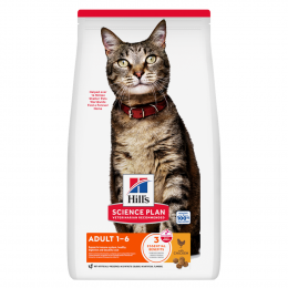 Angebot für Hill's Science Plan Adult 1-6 Huhn - Sparpaket: 2 x 10 kg - Kategorie Katzenfutter & Zubehör / Katzenfutter trocken / Hill's Science Plan / Hill's Science Plan Adult.  Lieferzeit: 1-2 Tage -  jetzt kaufen.