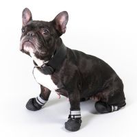 Hundeschuhe S & P Boots - Größe L: Schuhbreite 6,5 cm