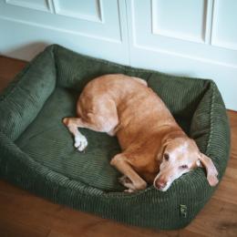 Hunter Ergonomisches Hundesofa Corbie - L 100 x B 70 cm, anthrazit