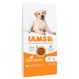 IAMS Advanced Nutrition Adult Large Dog mit Huhn - Sparpaket: 2 x 12 kg