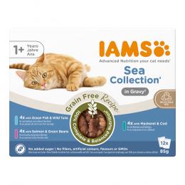 IAMS Advanced Nutrition Grain Free Sea Collection in Sauce - Sparpaket: 24 x 85 g