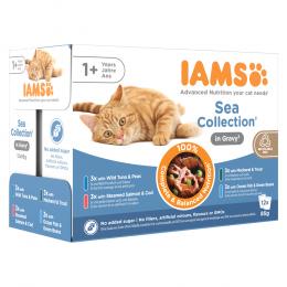 IAMS Delights Adult Sea Mix - 24 x 85 g in Sauce