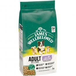 James Wellbeloved Adult Dog Lamm & Reis - 2 kg