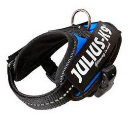 Julius K9 Idc Harness Blau T-4