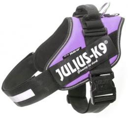 Julius K9 Idc Harness Power-Lila T-2