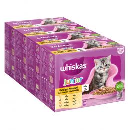 Jumbopack Whiskas Junior Frischebeutel 144 x 85 g - Geflügelauswahl in Gelee