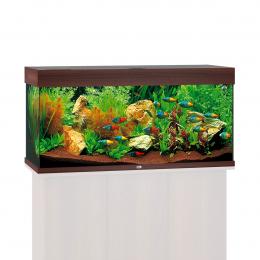Juwel Rio 180 LED Komplett Aquarium ohne Schrank grau