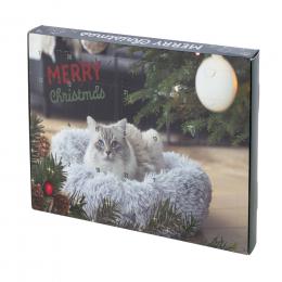 Angebot für Kerbl Pet Adventskalender für Katzen - 24-teiliges Set - Kategorie Katzenfutter & Zubehör / Katzenspielzeug / Beschäftigungsspielzeug / -.  Lieferzeit: 1-2 Tage -  jetzt kaufen.