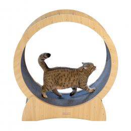 Angebot für Kerbl Pet Katzenlaufrad - Ø 90 cm - Kategorie Katzenfutter & Zubehör / Katzenspielzeug / Beschäftigungsspielzeug / Weitere Bewegungsspielzeuge.  Lieferzeit: 1-2 Tage -  jetzt kaufen.