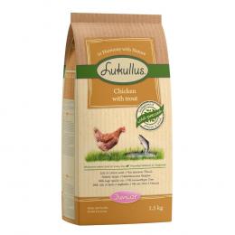 Lukullus Junior Huhn & Forelle - 10 kg