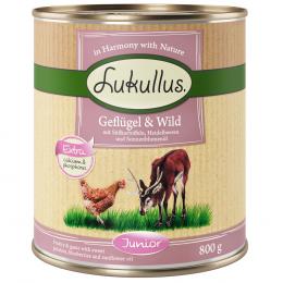 Angebot für Lukullus Naturkost Junior Getreidefrei - 6 x 800 g - Kategorie Hundefutter & Zubehör / Hundefutter nass / Lukullus Naturkost / Lukullus Getreidefrei.  Lieferzeit: 1-2 Tage -  jetzt kaufen.
