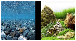 Marina Marina Clear View 3D Fondo Rio / Jardin.japones 45 Cm X 7,6 M