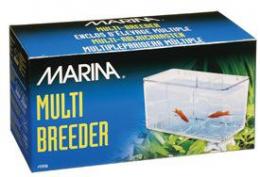 Marina Marina Multi Züchter