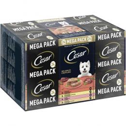 Angebot für Megapack Cesar Schale 24 x 150 g - Classic Terrine - Kategorie Hund / Hundefutter nass / Cesar / Schalen.  Lieferzeit: 1-2 Tage -  jetzt kaufen.