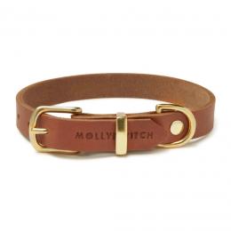 Molly & Stitch Butter Hundehalsband - Mango / goldener Karabiner / S