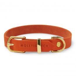 Molly & Stitch Butter Hundehalsband - Mango / goldener Karabiner / XS