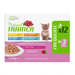 Natural Trainer Kitten & Young  - 24 x 85 g Mixpaket (4 Sorten)