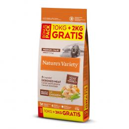 Nature's Variety Healthy Grains Adult Medium/Maxi Huhn - 10 + 2 kg gratis