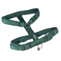 Nomad Tales Geschirr Blush, emerald - Größe L: 60 - 91 cm Brustumfang, 25 mm breit