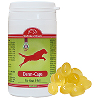 Nutrizeutikum Derm-Caps