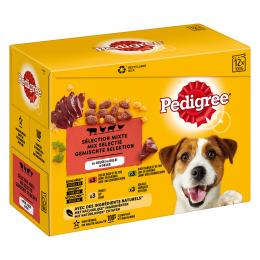 Angebot für Pedigree Frischebeutel Multipack - Sparpaket: 96 x 100 g in Soße - Kategorie Hund / Hundefutter nass / Pedigree / Pedigree Frischebeutel.  Lieferzeit: 1-2 Tage -  jetzt kaufen.