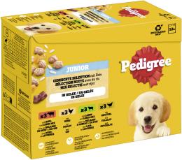 Pedigree Junior Frischebeutel Multipack - 48 x 100 g Gemischte Selektion in Gelee (4 Varietäten)