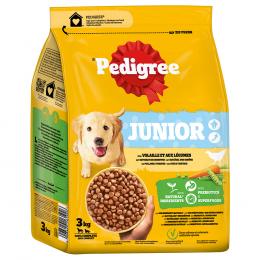Pedigree Junior Geflügel & Gemüse - Sparpaket: 3 x 3 kg