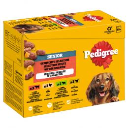 Pedigree Senior Frischebeutel Multipack in Gelee - Sparpaket: Gemischte Selektion in Gelee (4 Varietäten) 96 x 100 g