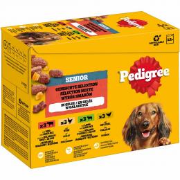 Pedigree Senior Gemischte Selektion in Gelee 24x100 g